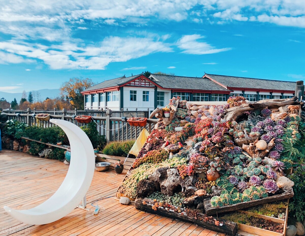 云南丽江有哪些古城景点图片大全,云南丽江泸沽湖简介