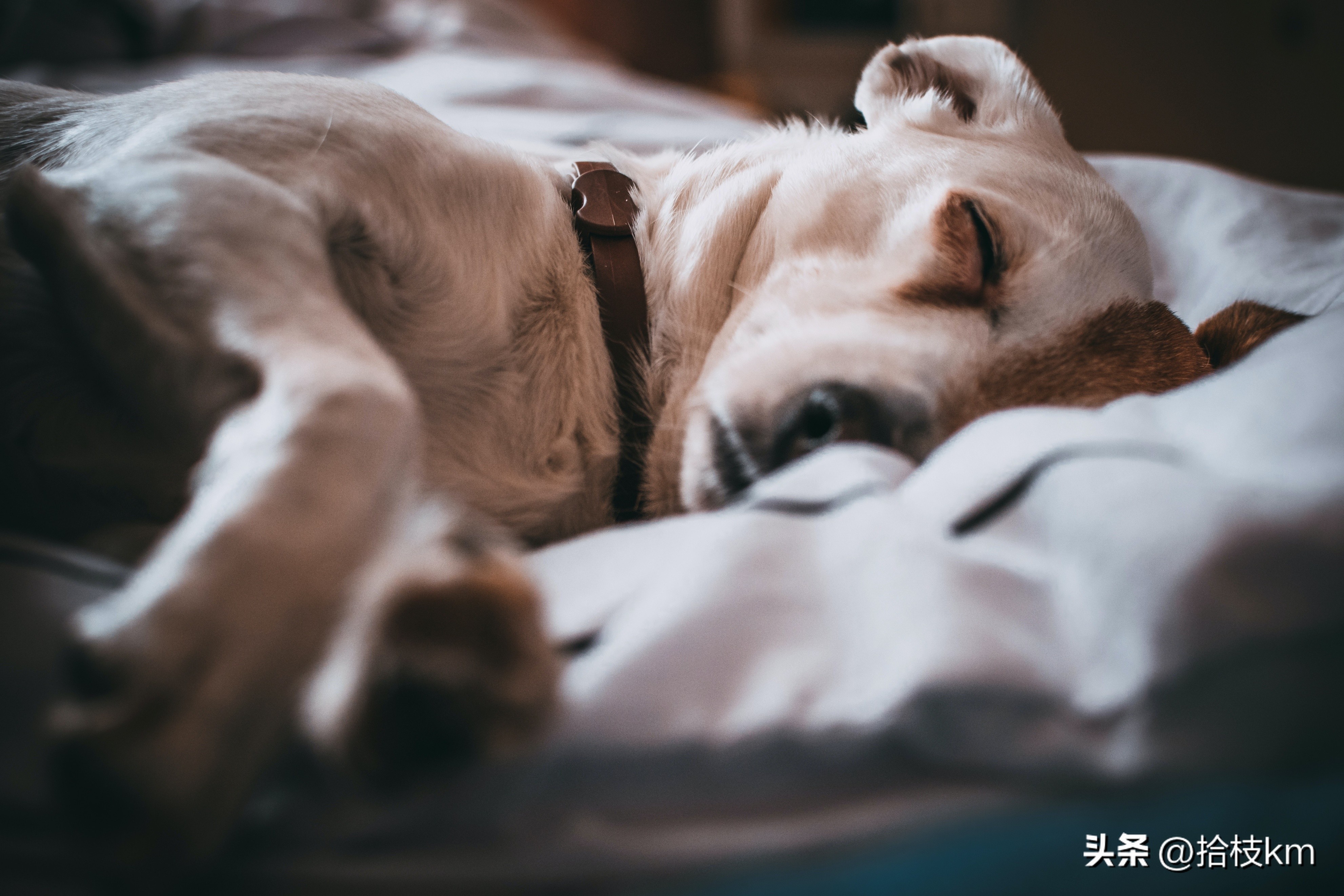 失眠要怎么办才能调理,治愈失眠完整版