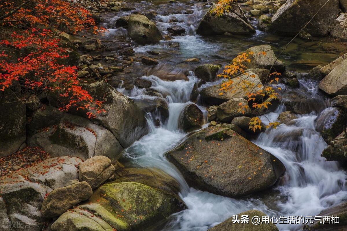 甯︿綘鐜╄浆姹変腑缇庢櫙,甯︿綘鐜╄浆椁愰ギ