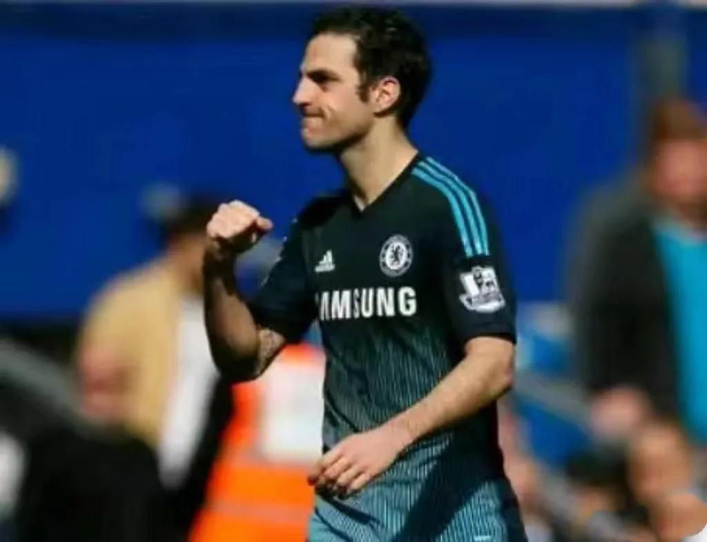 塞斯克法布雷加斯,塞斯克·法布雷加斯集锦