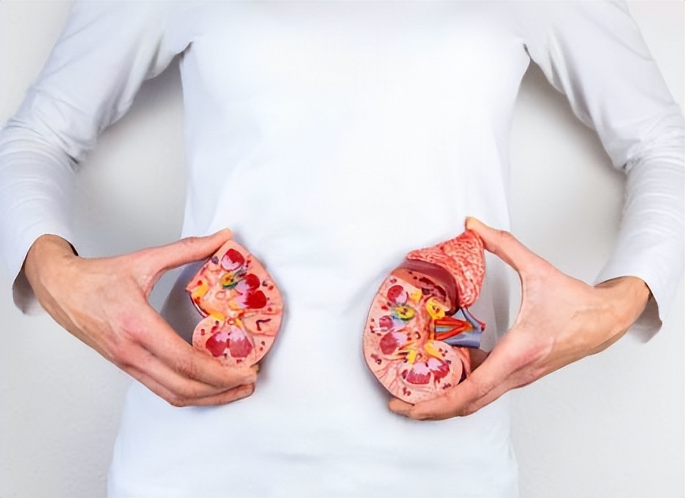 春节吃海参有什么讲究,送礼送干海参还是即食海参好