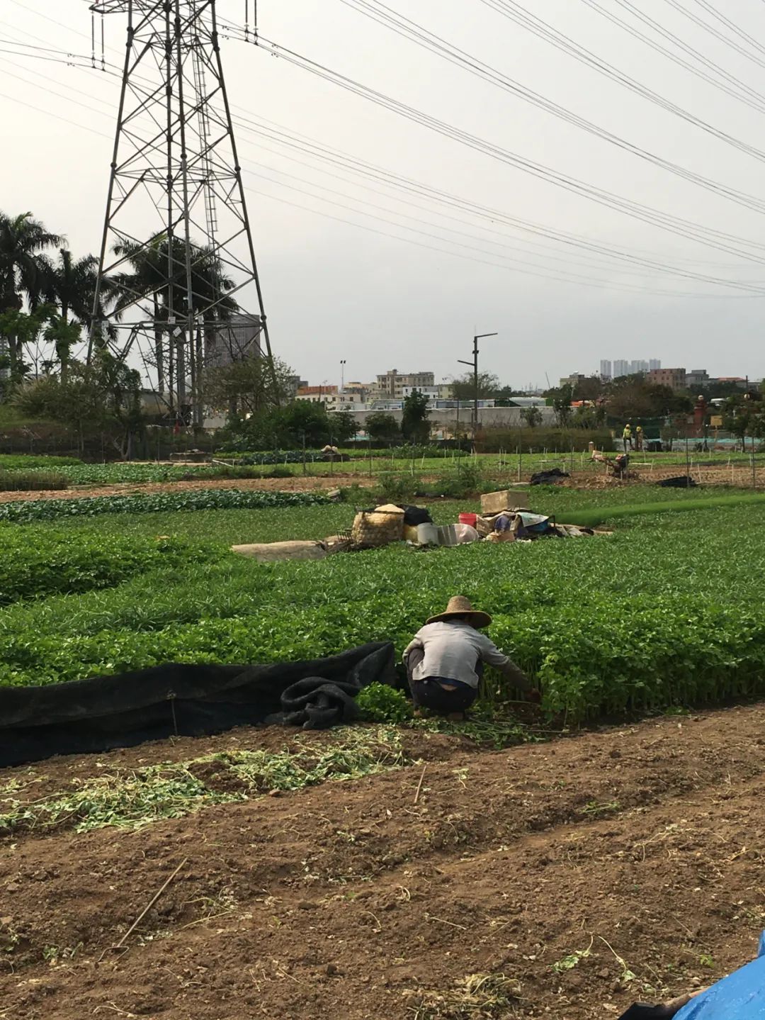 旭光车行雅迪电动车,旭光单车