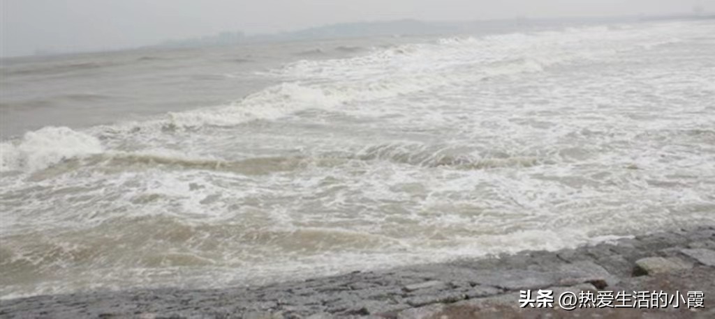 男子意外捡到无数金元宝 (男子海边捡宝)