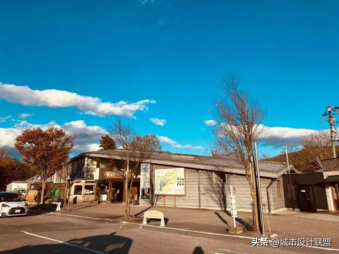 乡村振兴和乡村治理典型经验,乡村治理的发展与创新