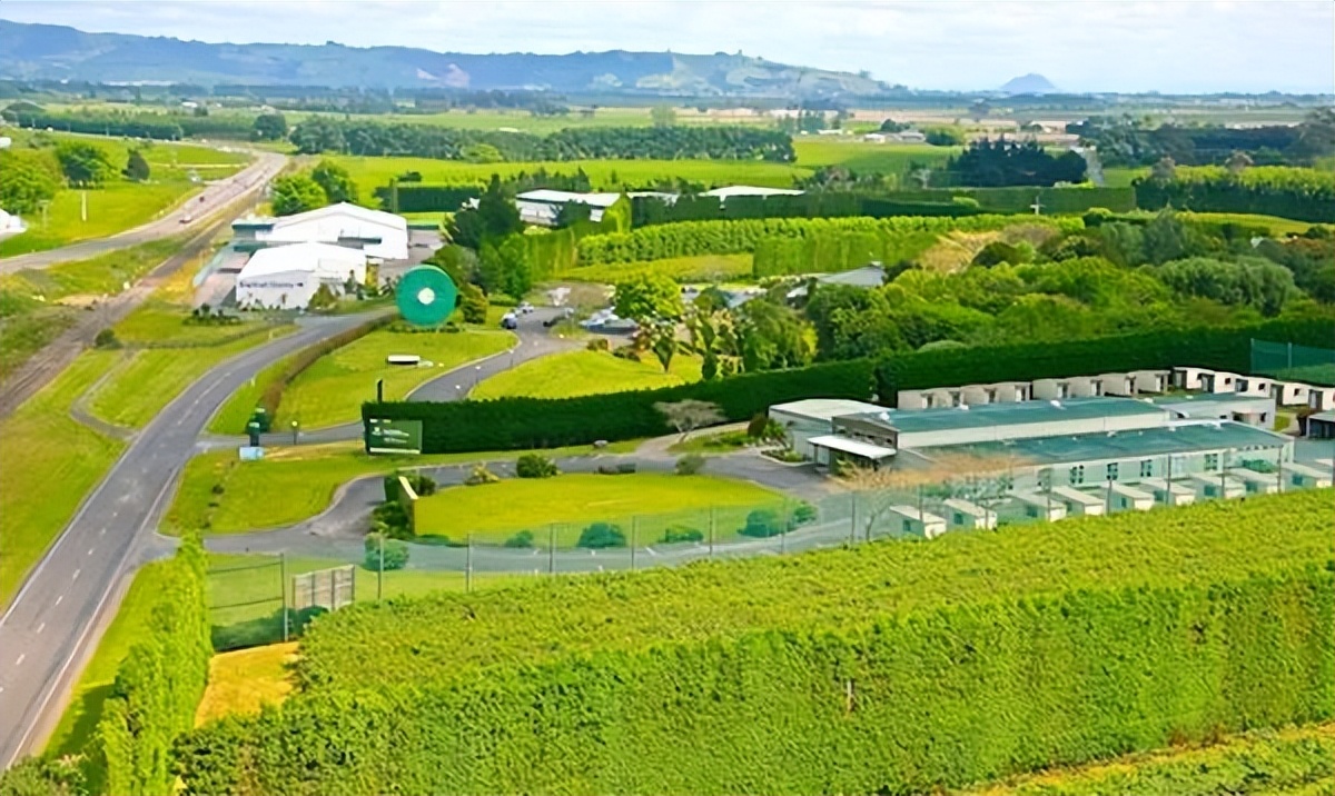 新西兰蒂普基猕猴桃特色小镇，如何实现从区域品牌到享誉世界？