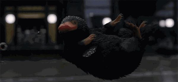 神奇动物3最新上映,神奇动物3电影评价