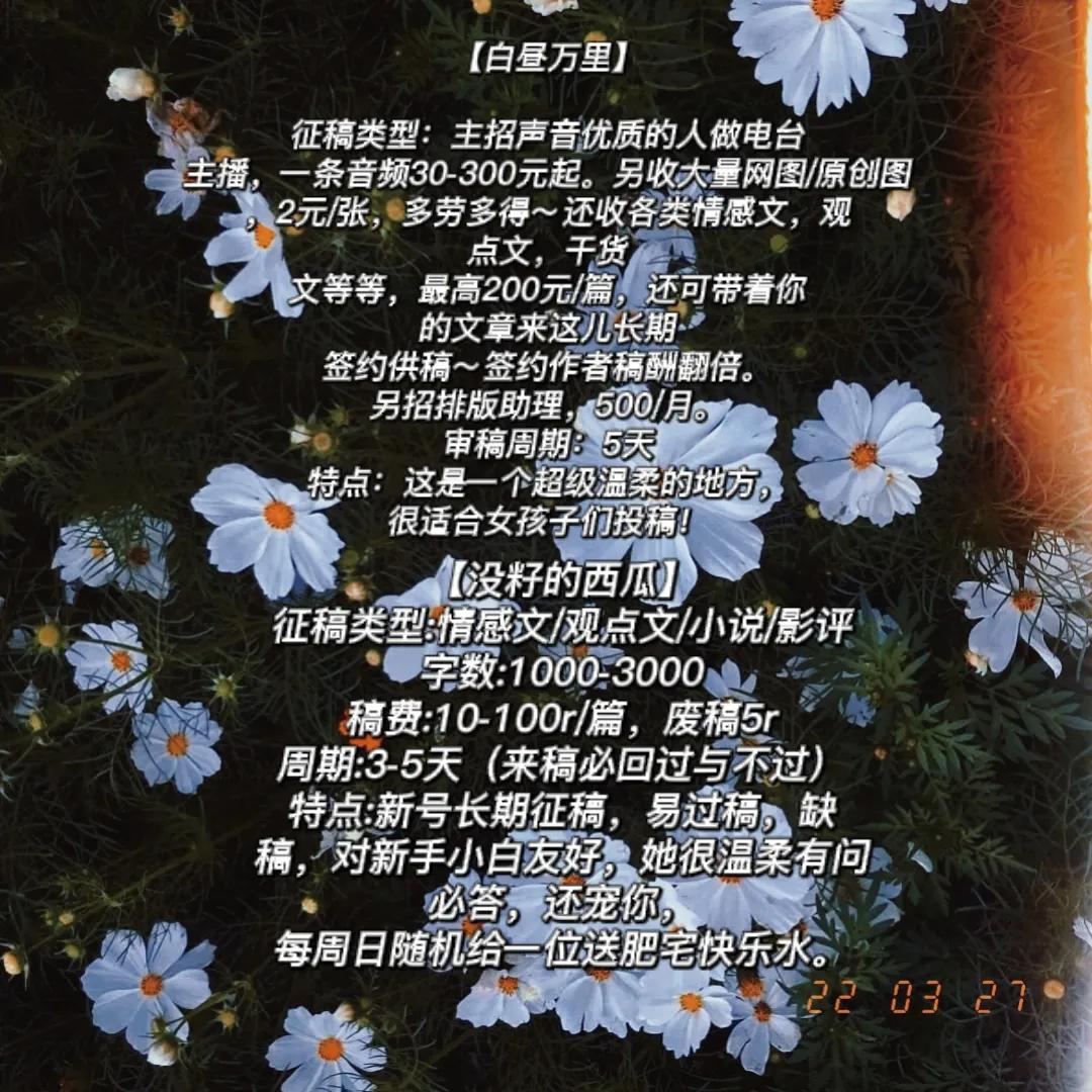 初芒投稿公众号,投稿征稿公众号