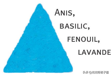 黄色月季哪个品种耐热耐晒抗病强,最耐热耐晒的切花藤本月季品种