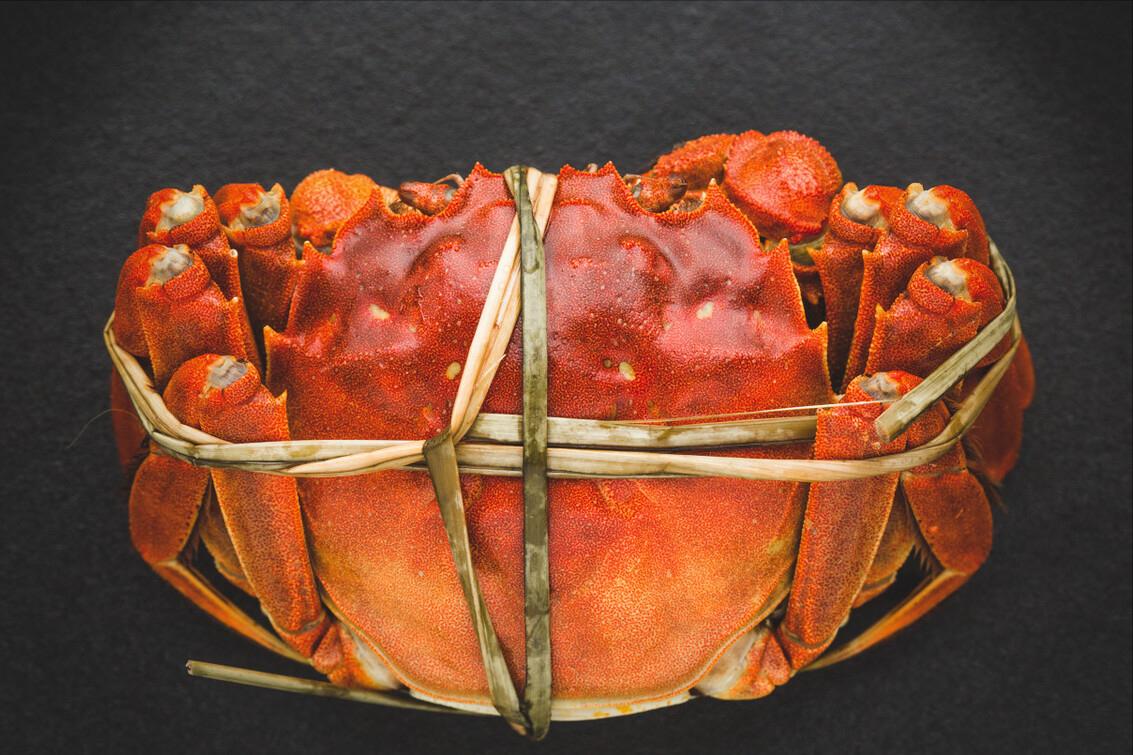 螃蟹品种怎么区分,螃蟹如何挑选图解