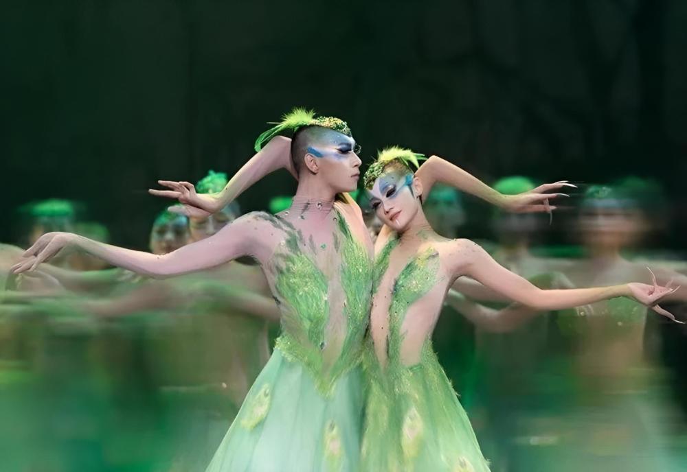 杨丽萍孔雀舞备受争议,杨丽萍舞蹈争议