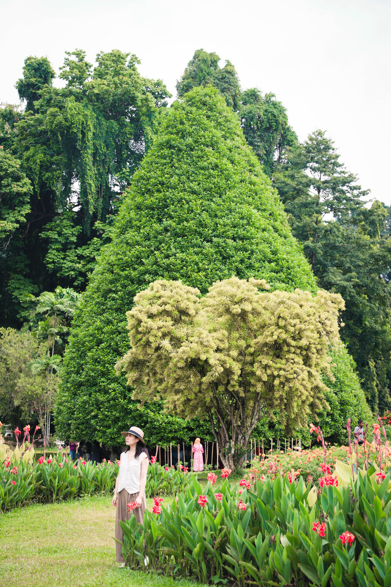 斯里兰卡旅游攻略必去景点,斯里兰卡旅游攻略最佳时间