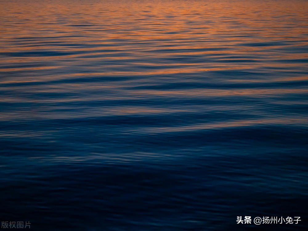 遇到羊几天后会有症状,这次羊最严重的症状是什么