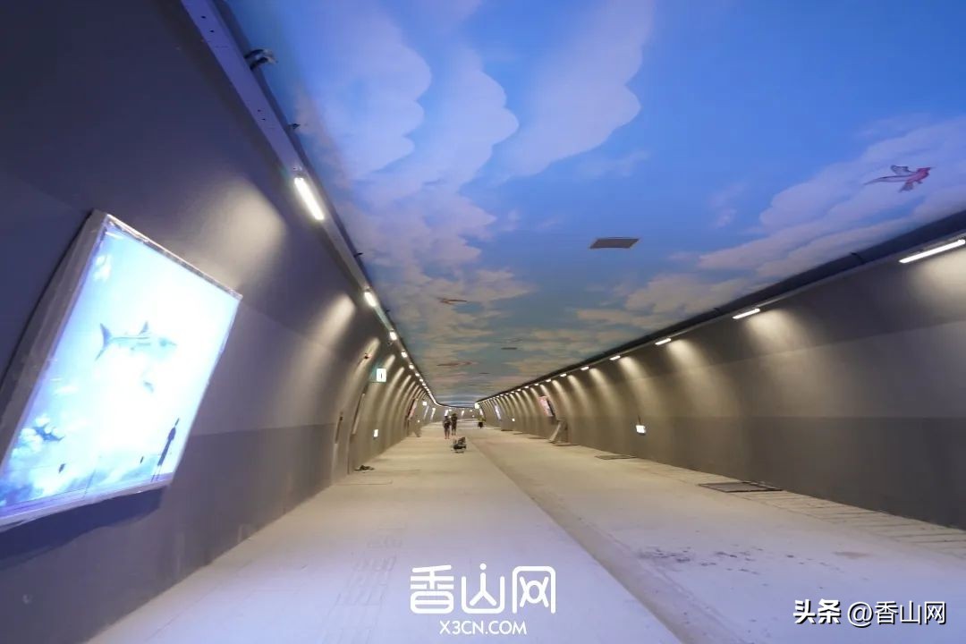 港珠澳大桥澳门珠海,港珠澳大桥珠海怎么过去澳门