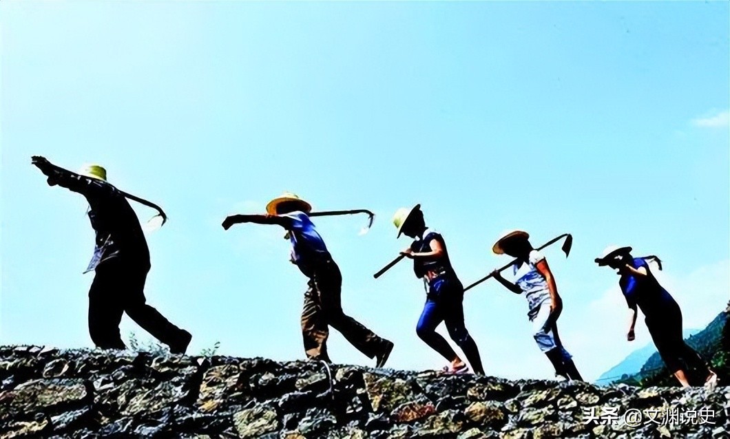 广东老太在山上抱回一只野猫,广东老太捡到一只猫仔