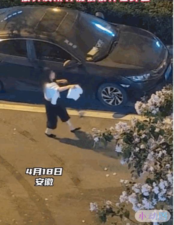 女子与男友争吵遭棍打后续原因,真实女子与男友争吵遭棍打后续