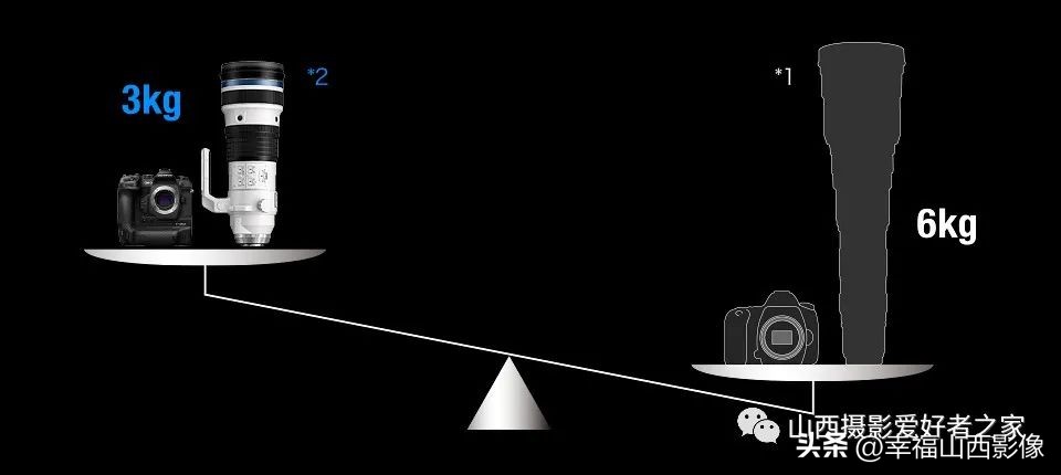 轻巧而又专业的拍鸟器材是它——奥之心相机镜头体验记
