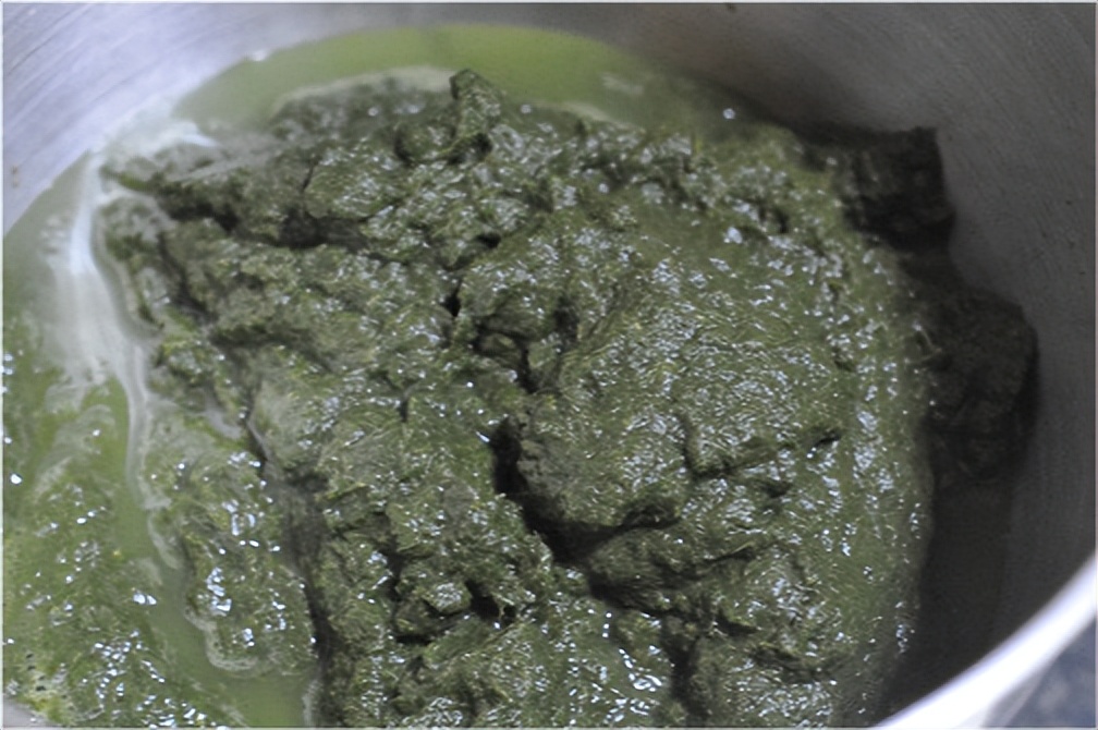 别嫌它味重，却是“大姨妈”的好朋友，清明后鲜嫩上市，抓紧吃