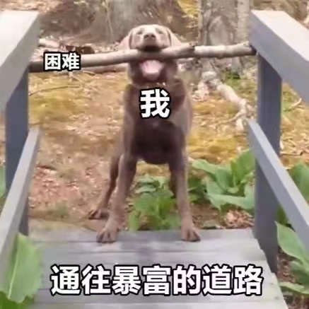 又笨又犟又懒的人怎么拯救,人特别懒怎么才能变得勤奋