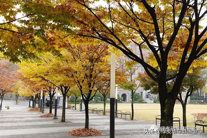 韩国院校的优缺点,韩国前100名大学排名一览表