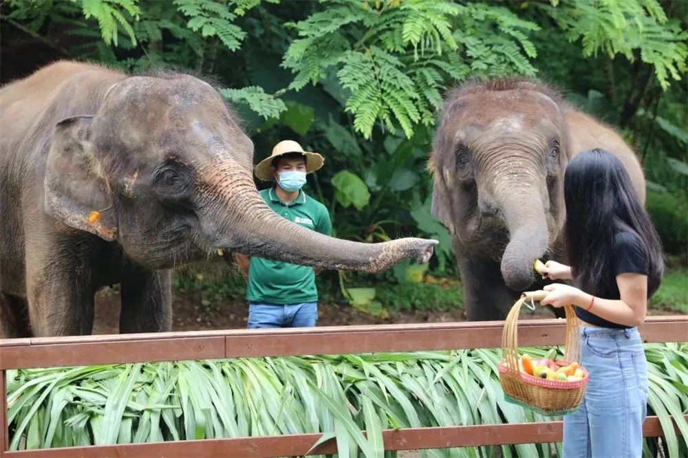 坐上动车去赴约，一起“水水水”吧！