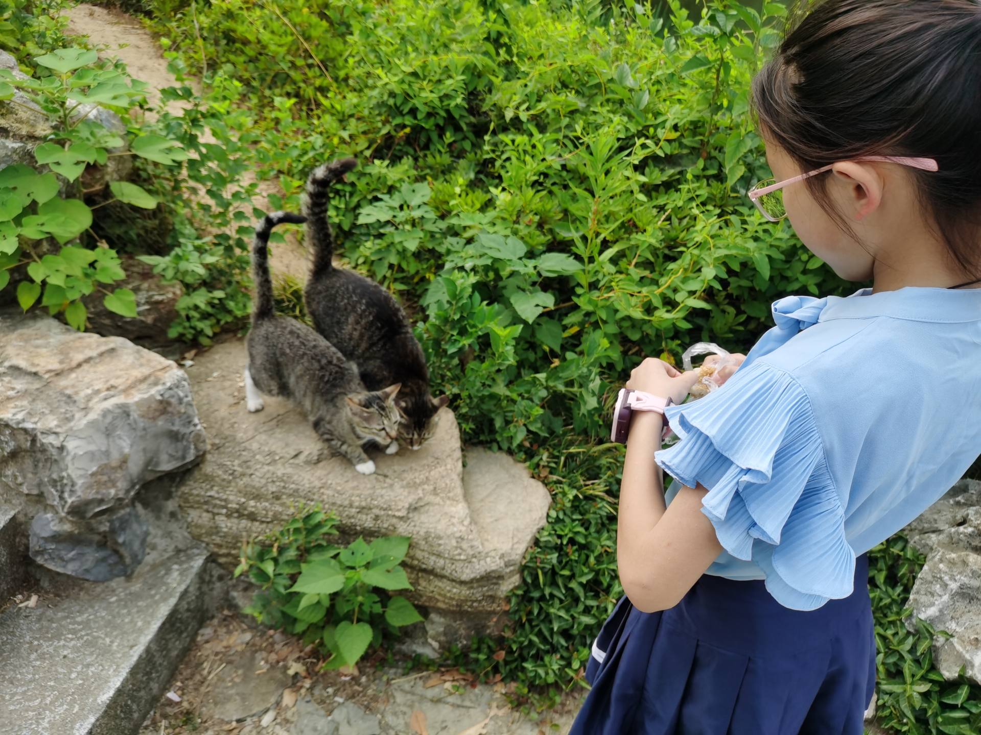 36010x儿童电话手表有什么功能,360儿童电话手表9x功能介绍