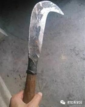 陈凯歌老照片大全集,陈凯歌的知青岁月