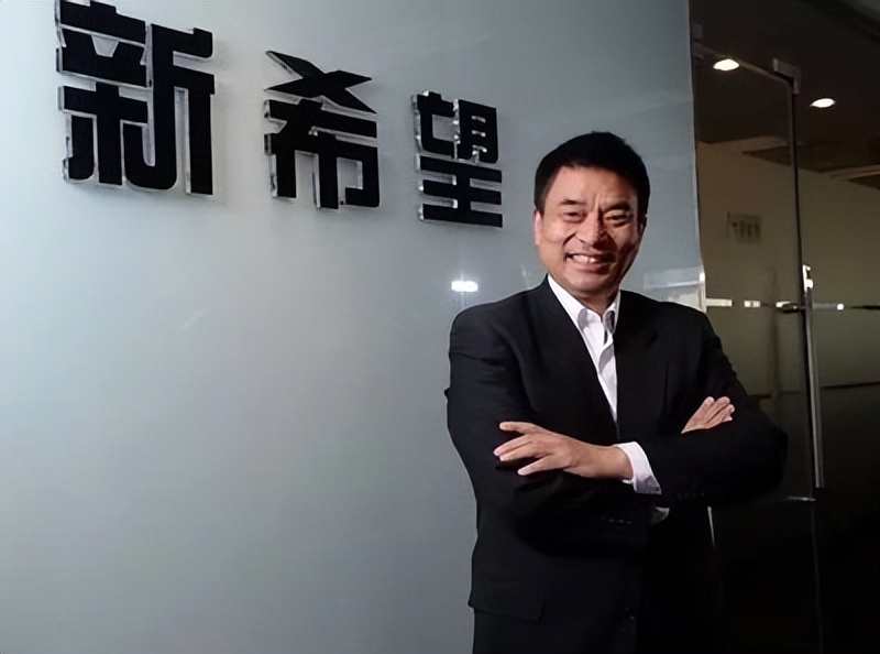 刘汉四川首富,四川首富刘汉完整视频