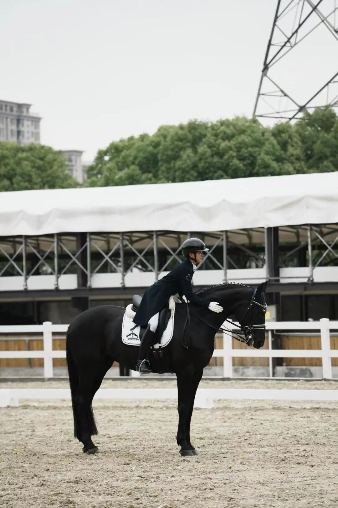 徐汇马术俱乐部,徐汇马术体能教练培训机构有哪些