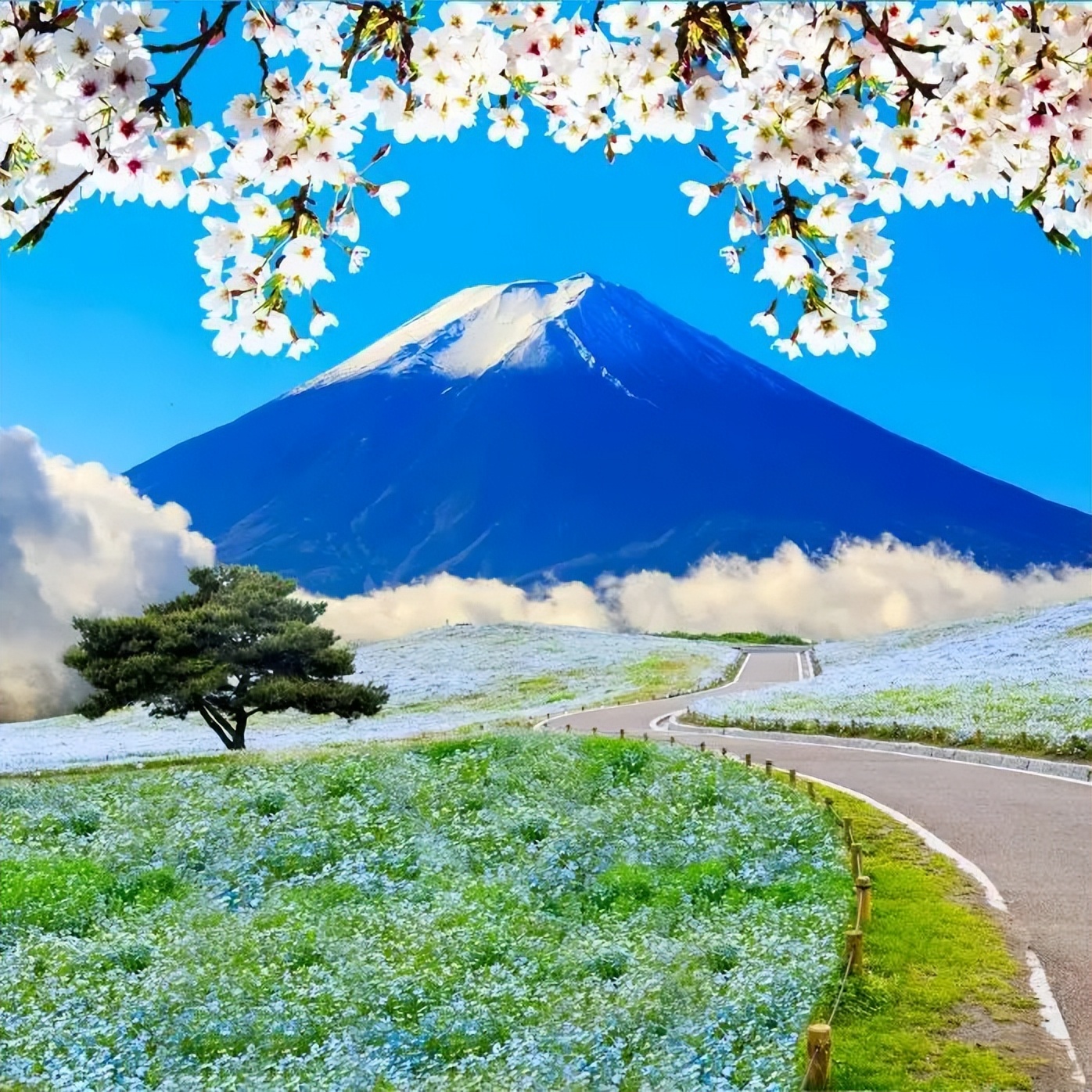 五一3-5天短途旅游推荐报团,五一3-5天短途旅游推荐一个人