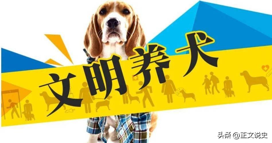 不文明遛狗惹出大麻烦,遛狗不拴绳反把路人打骨折后续