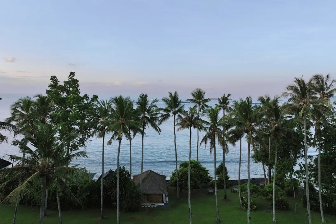 这可能是全球性价比最高的一家阿丽拉