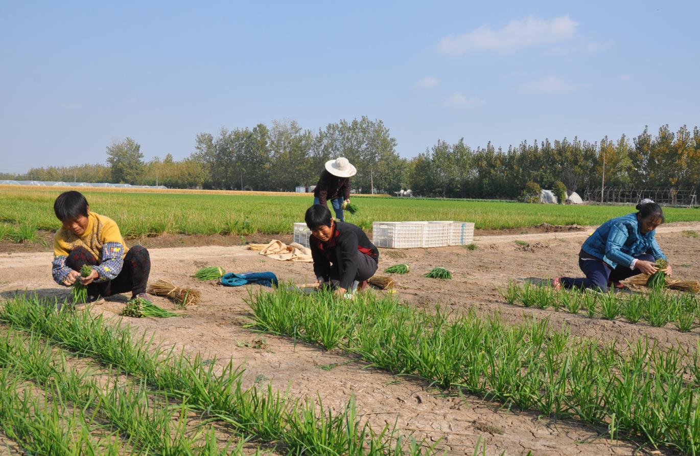 王宽宽为啥叫喜姐炸串,喜姐炸串王宽宽是哪里人