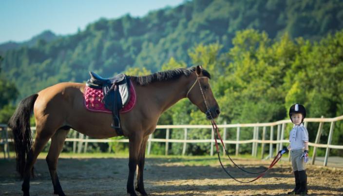 江西婺源三天两晚游最美景点,冬日婺源2天一夜旅游攻略