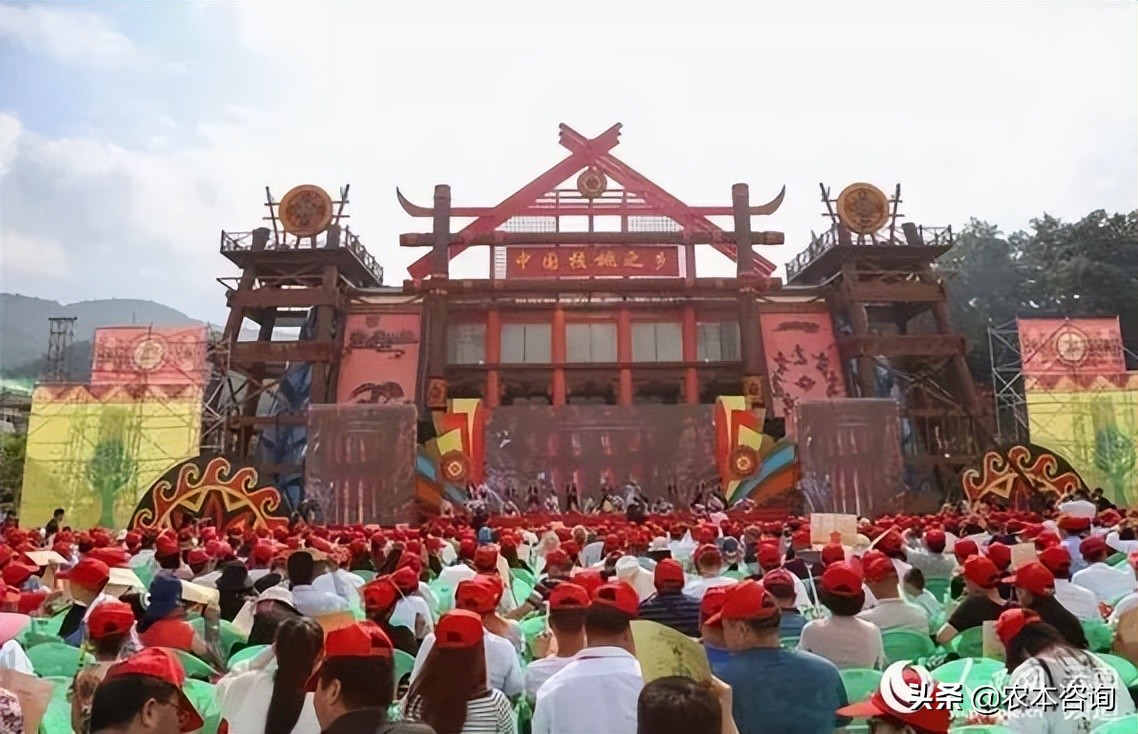 漾濞县核桃产业,漾濞核桃多样性