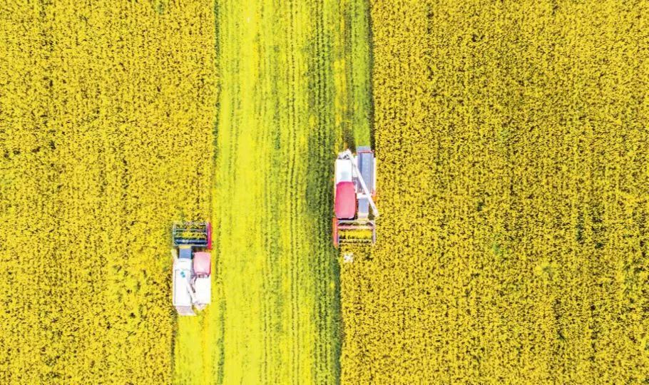 2022江阴,2022见证百年奋斗