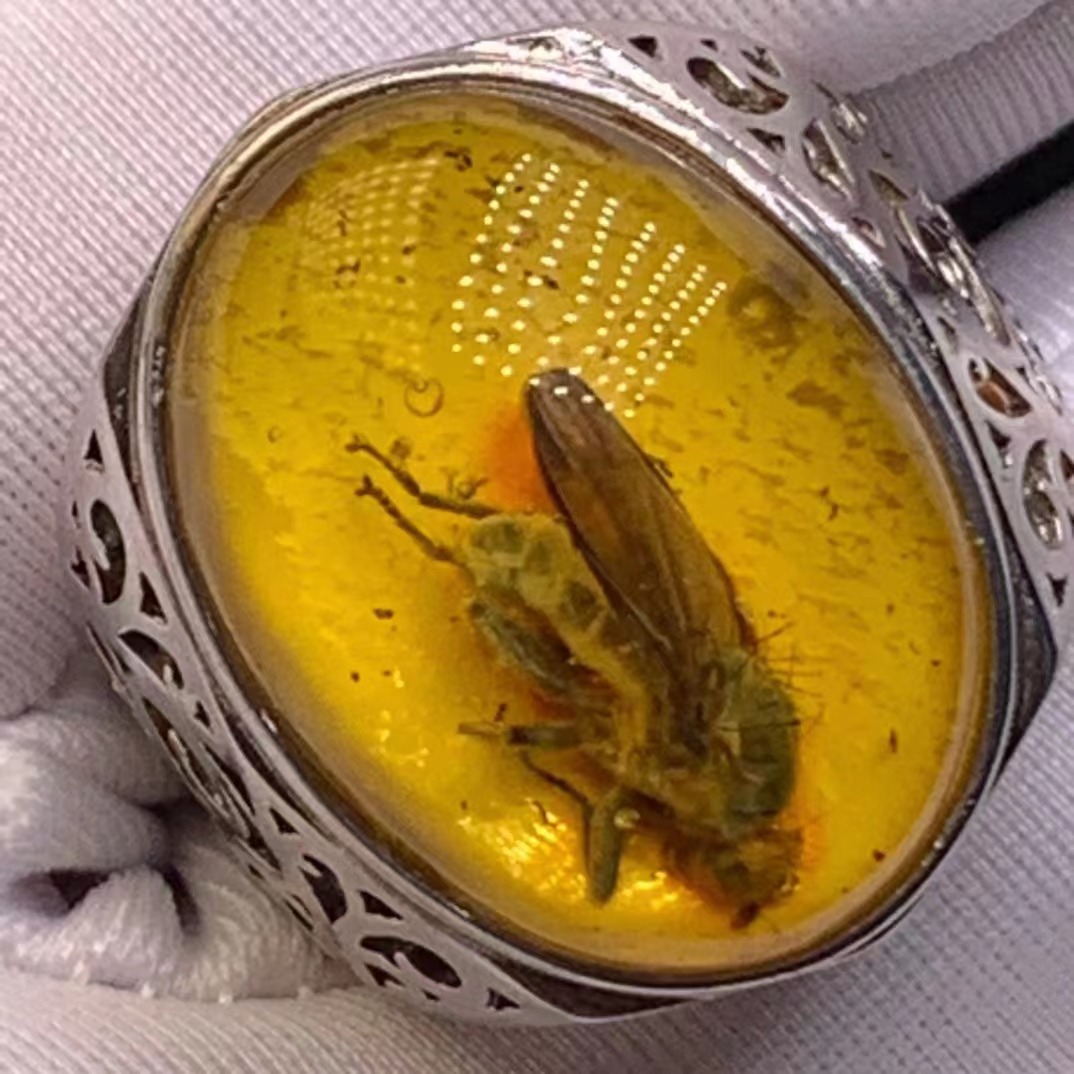 如果有机会,我想去波罗的海捞琥珀,那可是论克卖的