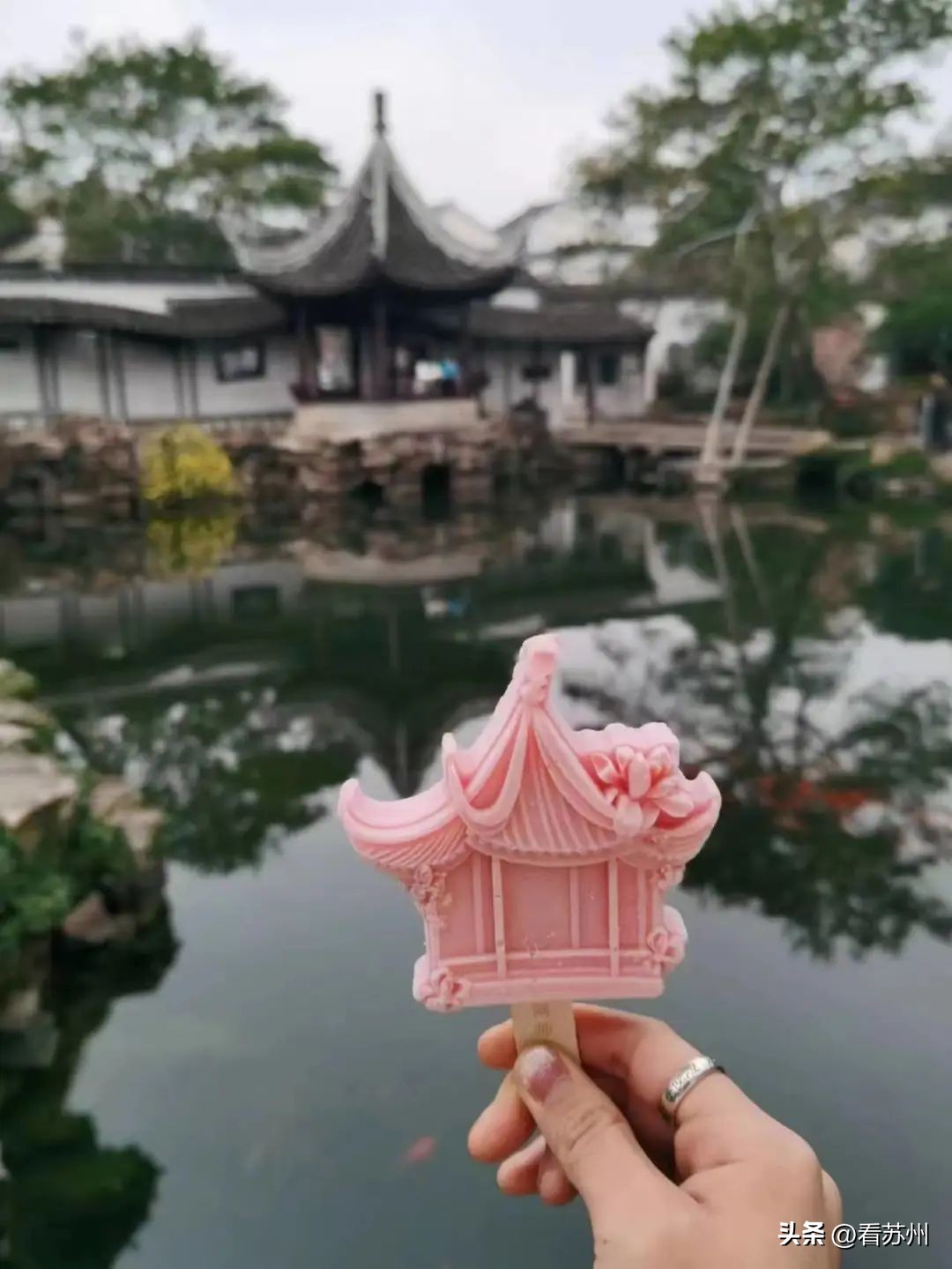 网师园夜花园门票,网师园夜花园演出