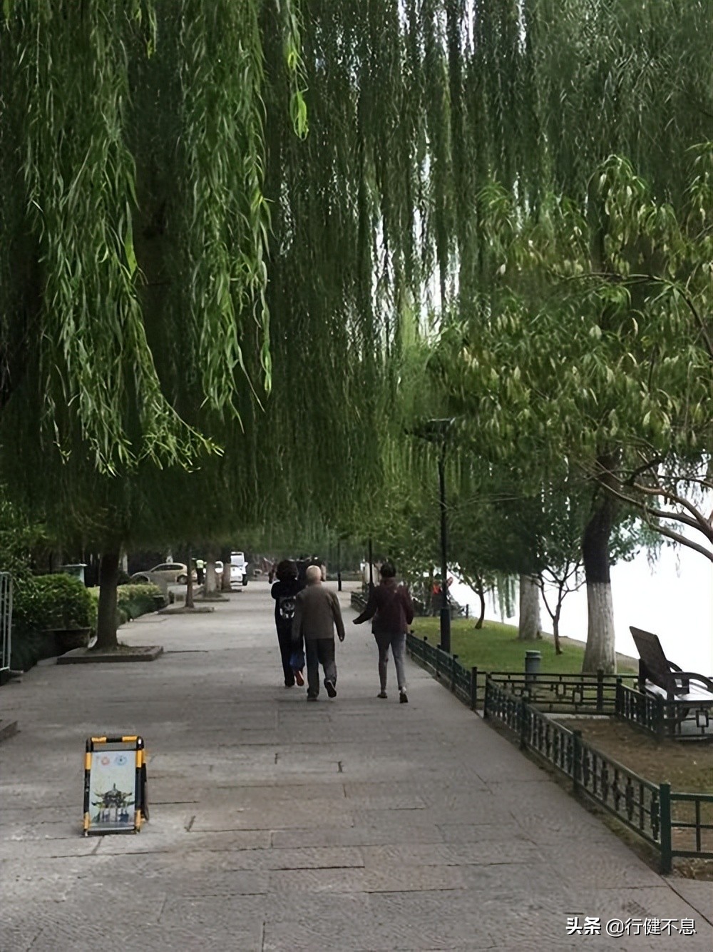 西湖荷花诗句古诗大全,荷花美景的诗句大全