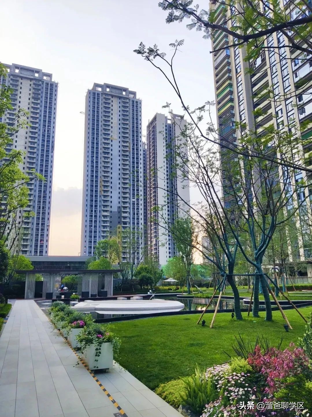 石室教育集团,成都石室中学教育集团学校