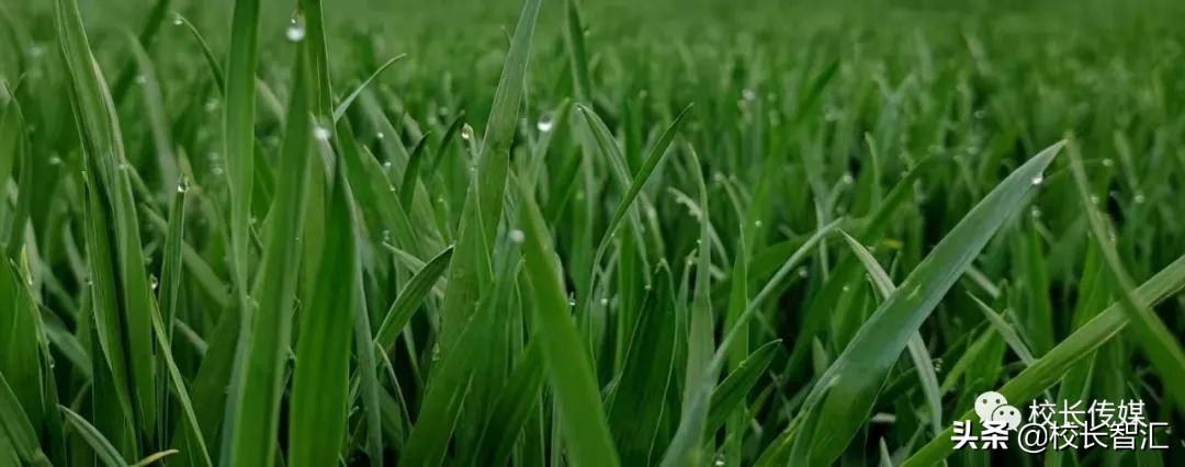 聚焦双减提质增效,双减形势下减负提质增效