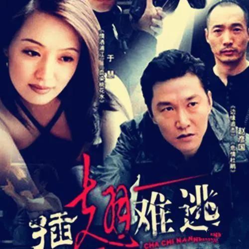 中国十大真实刑侦案改编电视剧,十大悍匪改编的刑侦电视剧