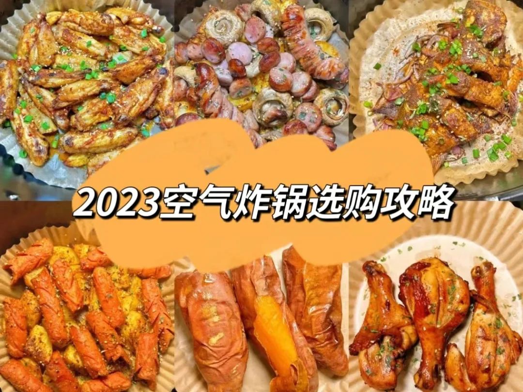 绅芝空气炸锅多少钱一台,绅芝空气炸锅官方旗舰店直播