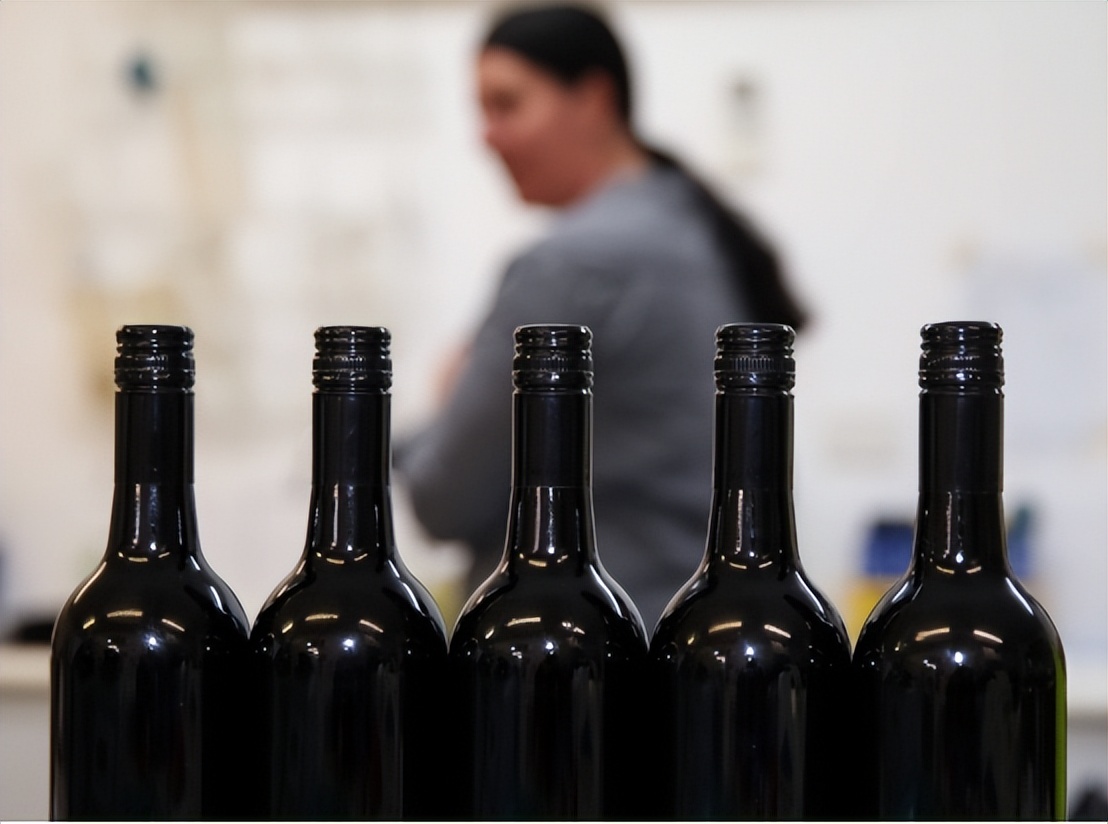 3161亿元，我国是澳大利亚的最大贸易伙伴，都从澳洲进口什么？