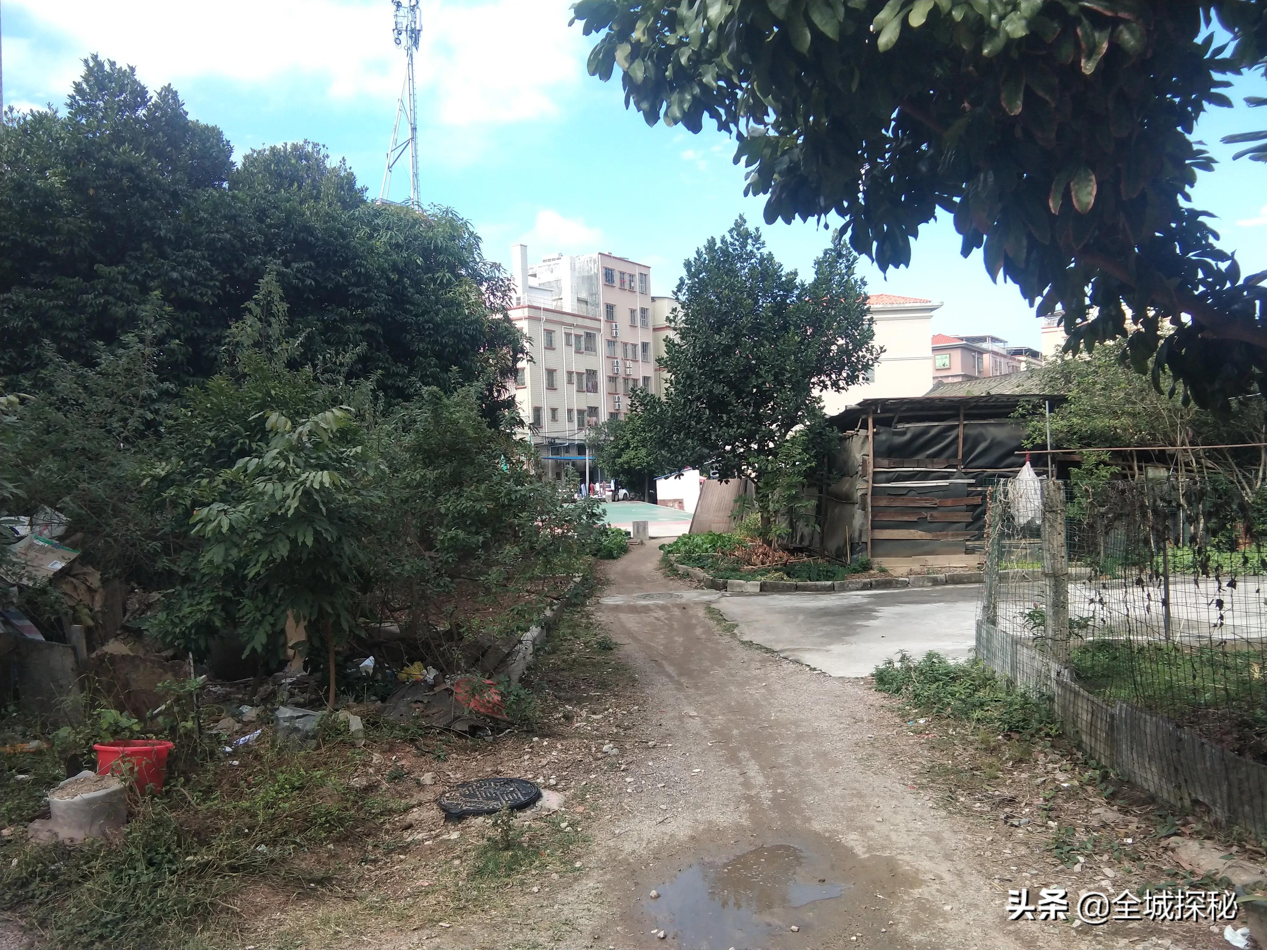 “村中城”东莞：故乡回不去，打工人把东莞打扮成了故乡