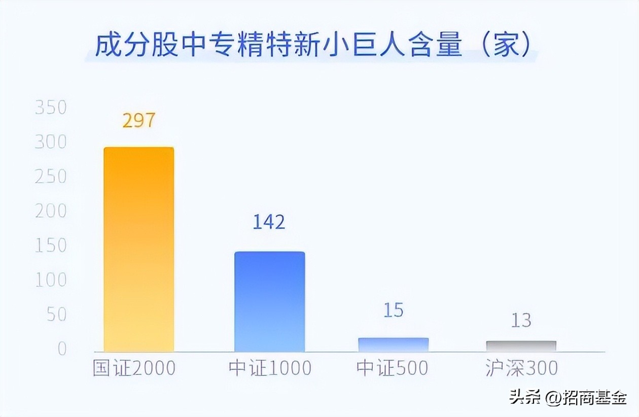 代表美国小盘股的指数,小而美蓝筹股