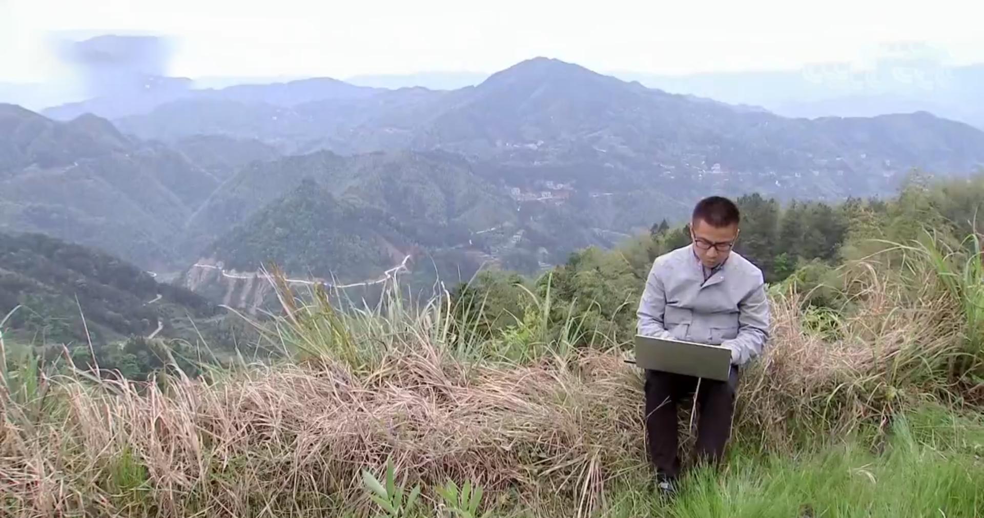买这种野草一年赚200万 (一年赚200万的野草)