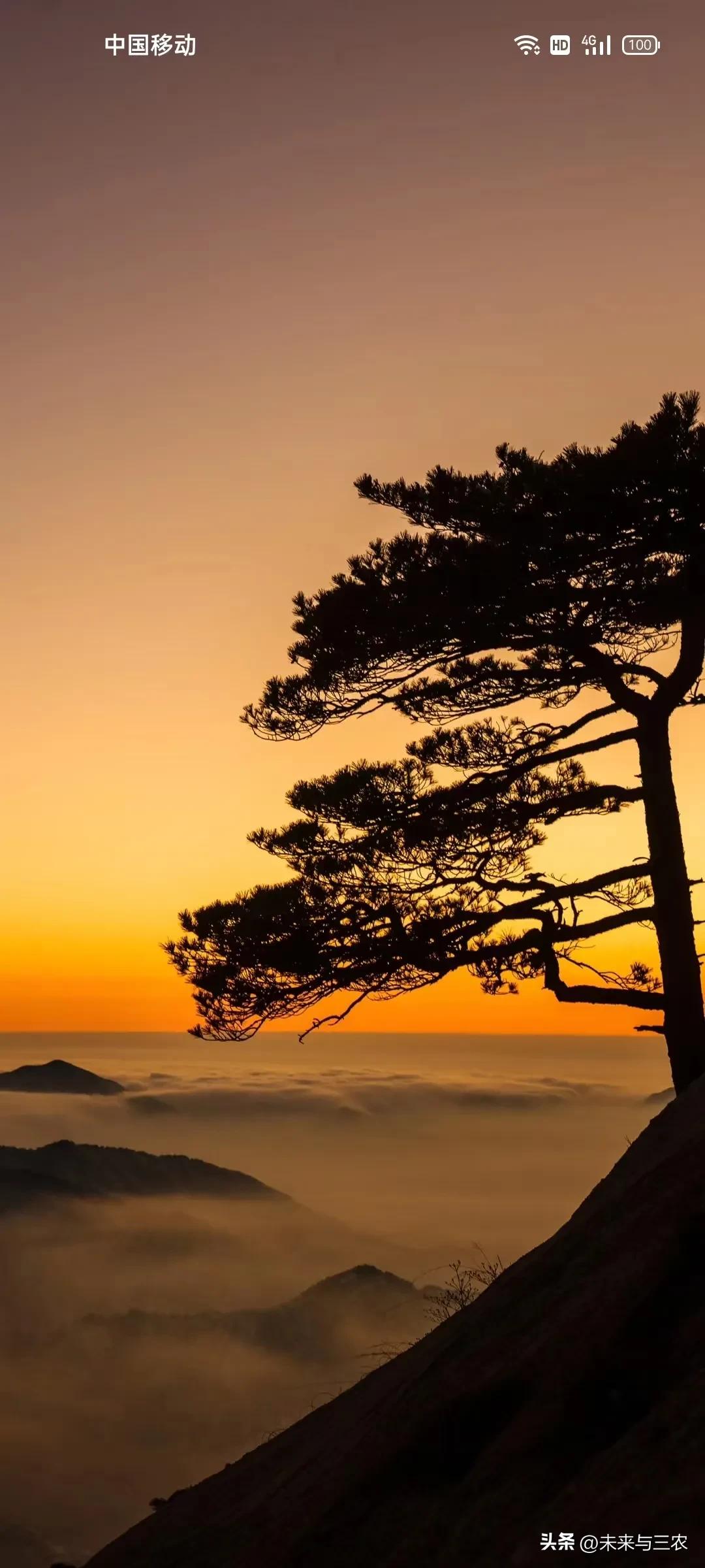 大连百年城的发展历程,大连一个领先全国三十年的城市