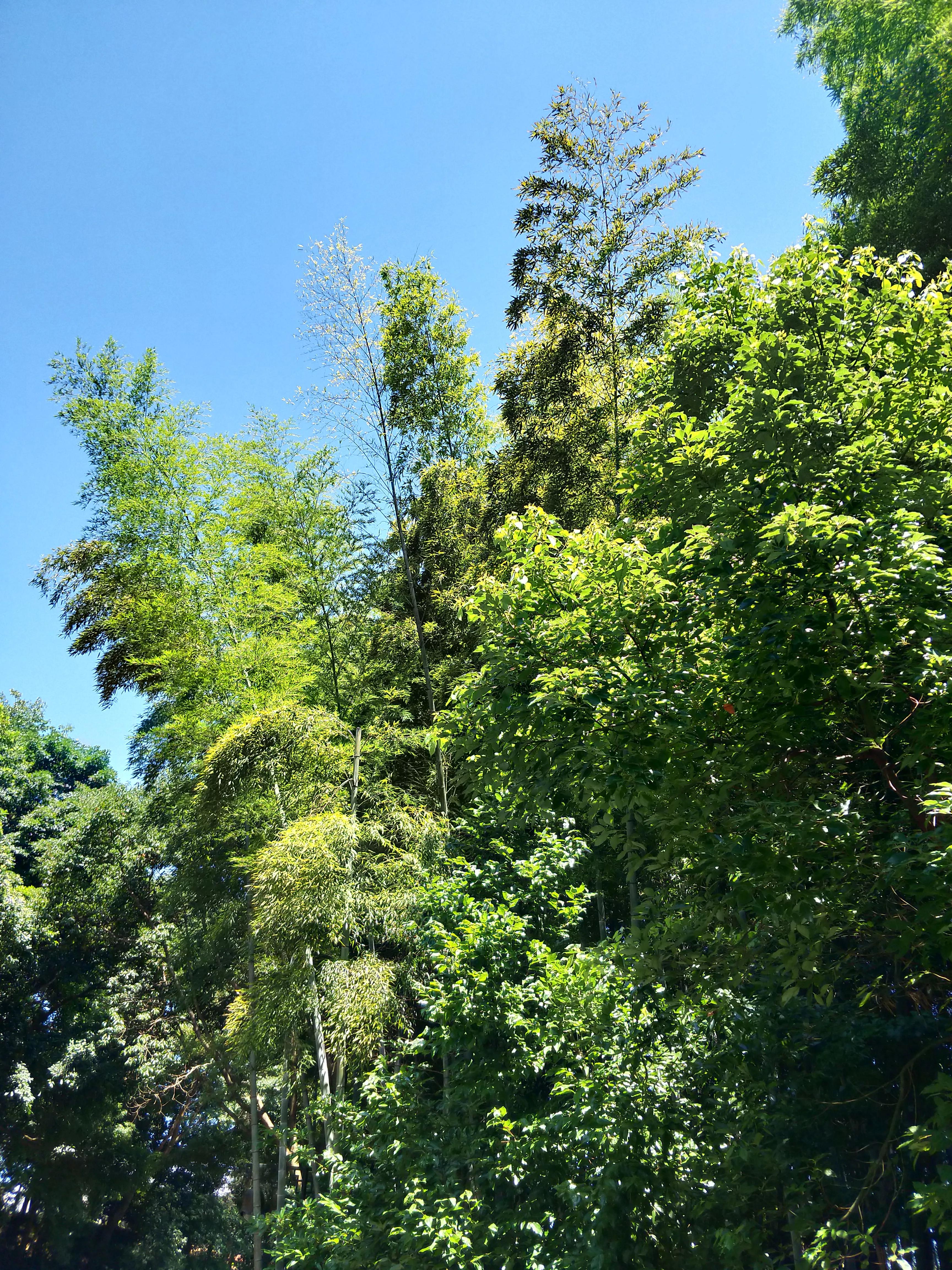 为过世的人祈福的佛语,去寺庙为死去的人祈福