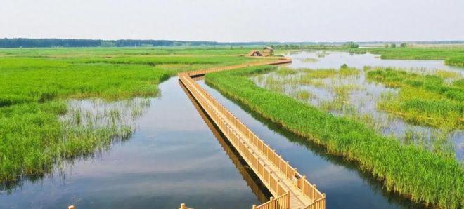 华北平原河流干涸,白洋淀华北淡水湖