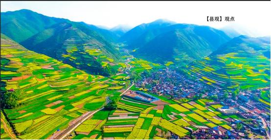 乡村振兴中的产业振兴与品牌建设,乡村振兴规划农产品品牌